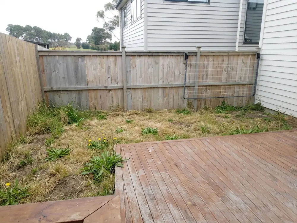 Before: Artificial grass and garden bed in New Lynn, West Auckland