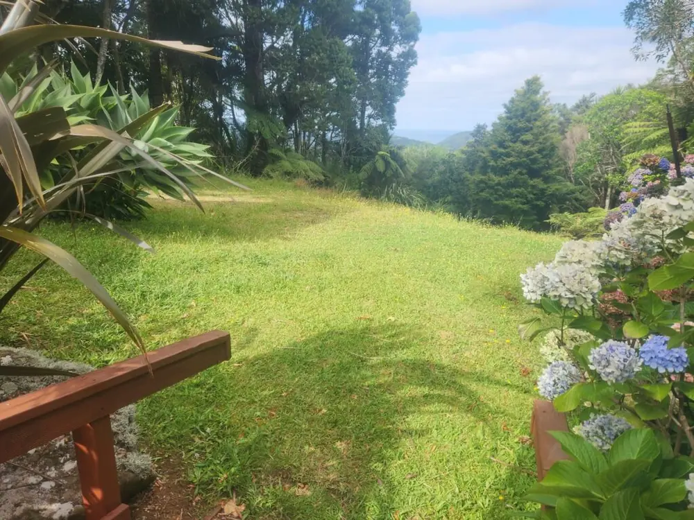 Before: Backyard excavation, levelling and ready lawn in Bethells Beach, West Auckland