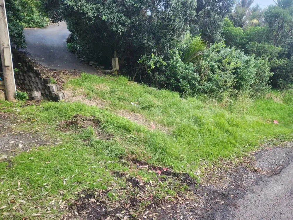 Before: Concrete driveway installation and retaining wall in Titirangi, West Auckland