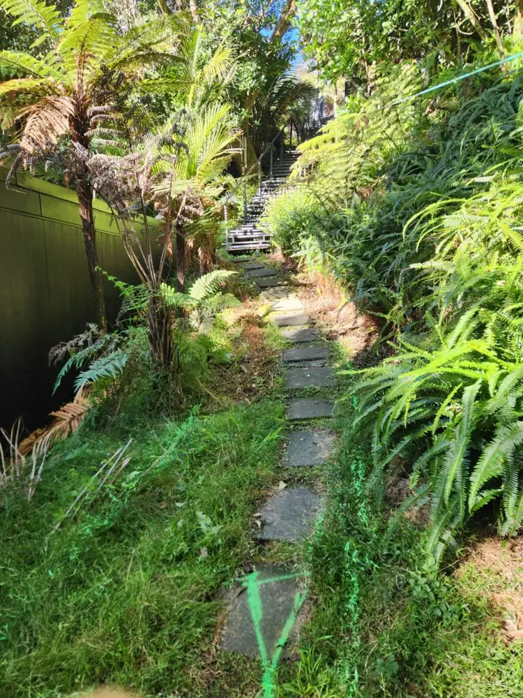 Before: Front stairway and access steps in Titirangi, West Auckland
