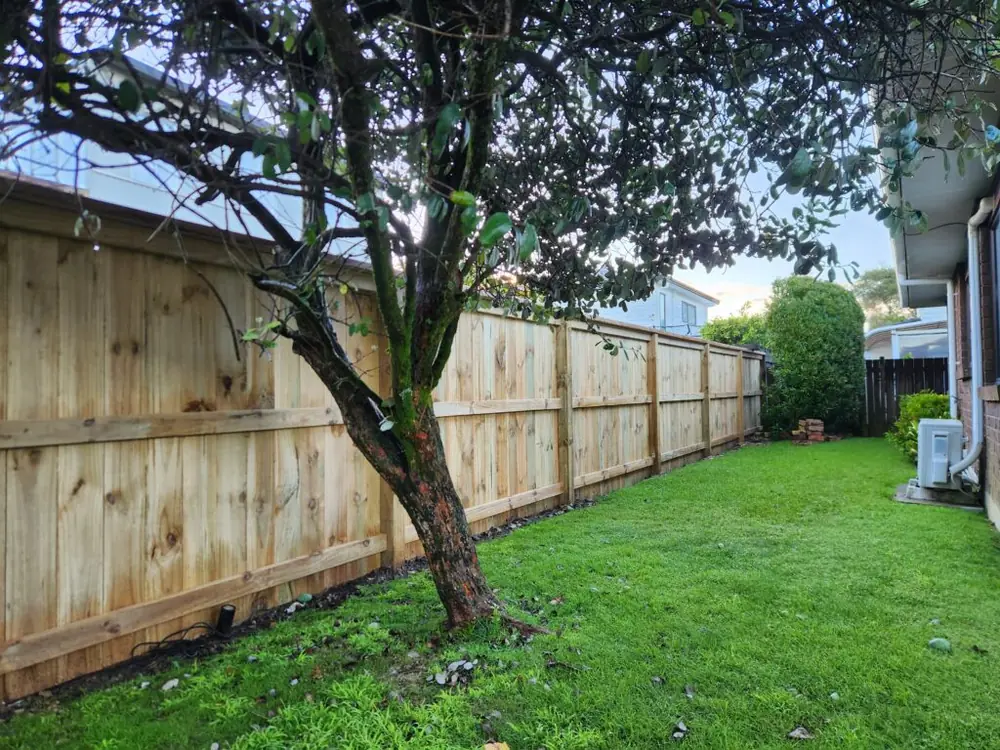 After: Full pine fence replacement in Avondale, West Auckland