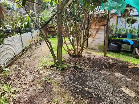 Before: Paving, ready lawn and planter box in Glen Eden, West Auckland