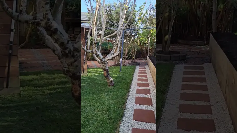 Landscaping in Glen Eden